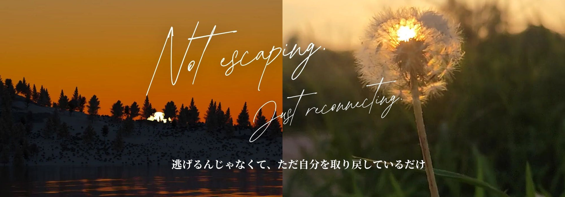 Not Escaping. Just Reconnecting